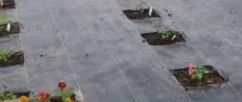 Mulch Mat Prevents weed seeds from sprouting-1
